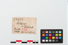 Etiketten zu Bronzegürtelhaken (NHMW-PRAE-024811)